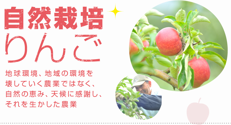 自然栽培リンゴ